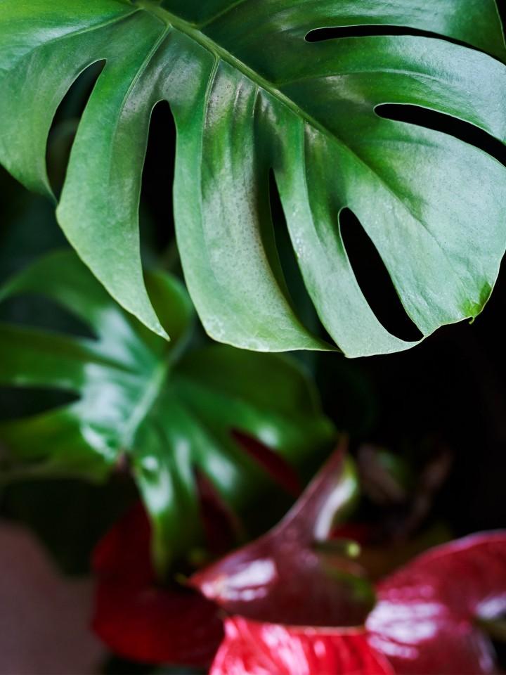 有设计www.yousheji.cn (14).jpg