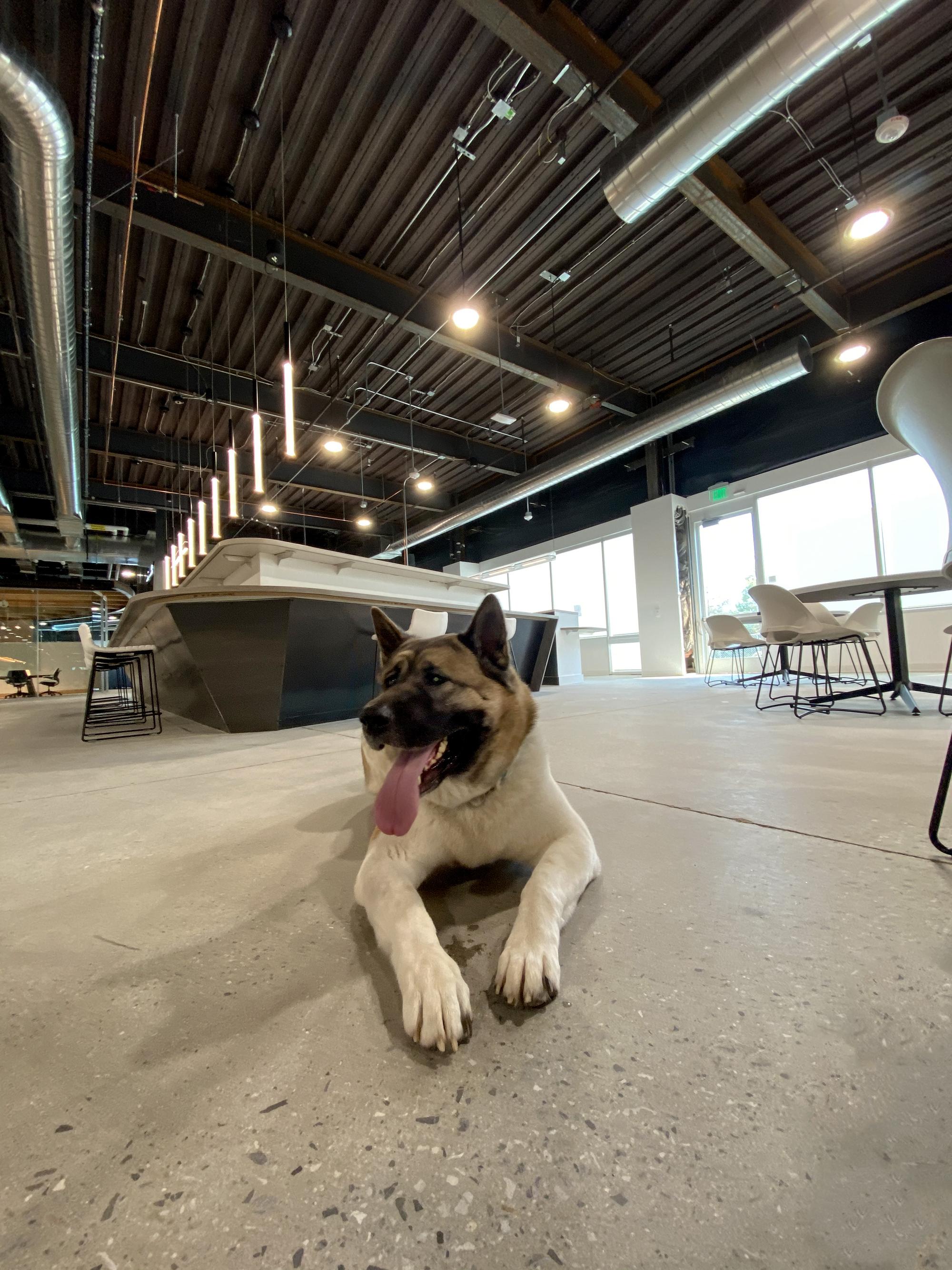 办公空间 Modulus-金麦道设计素材网www.ycpic (2).jpg