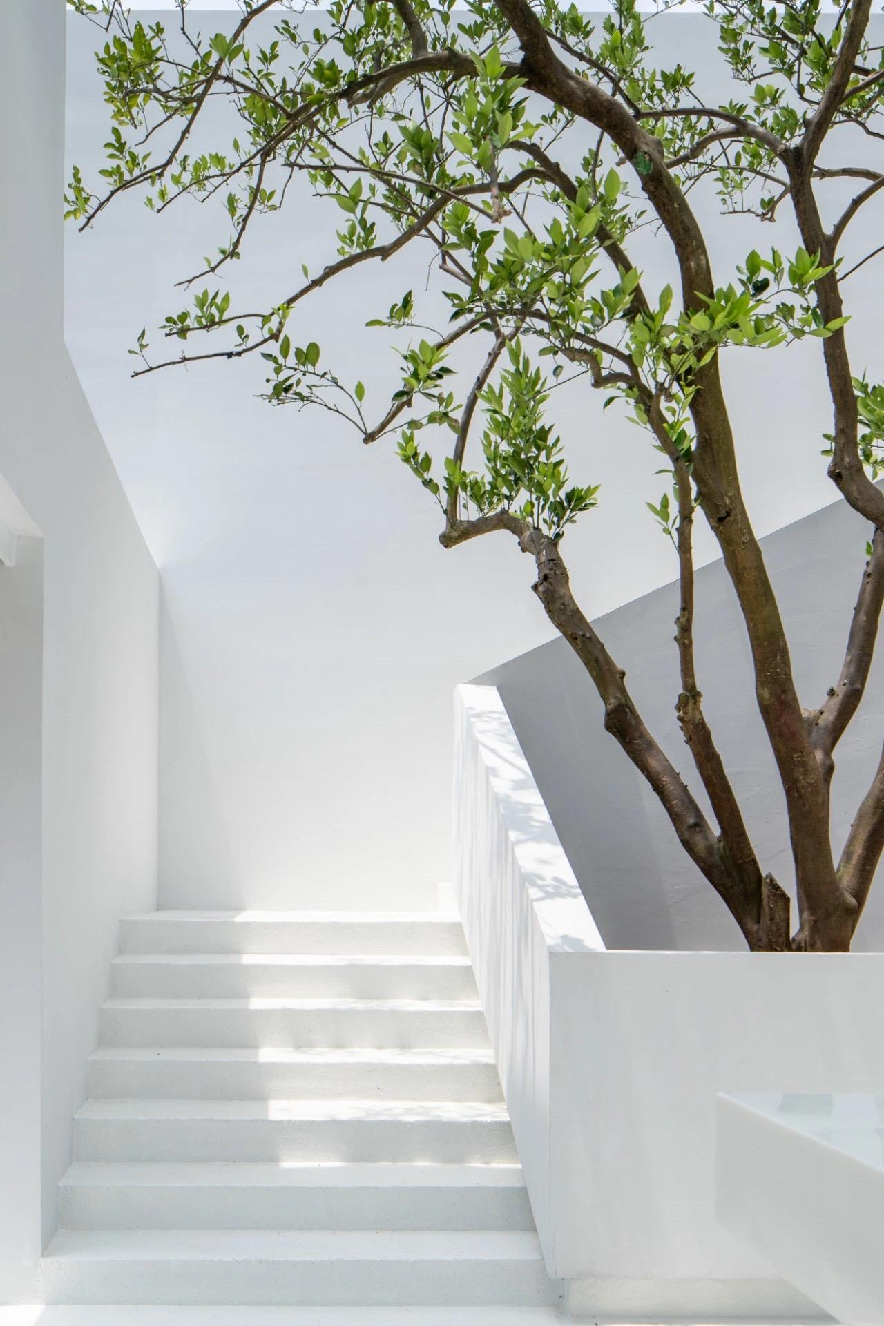 办公室-金麦道设计素材网www.ycpic (55).jpg