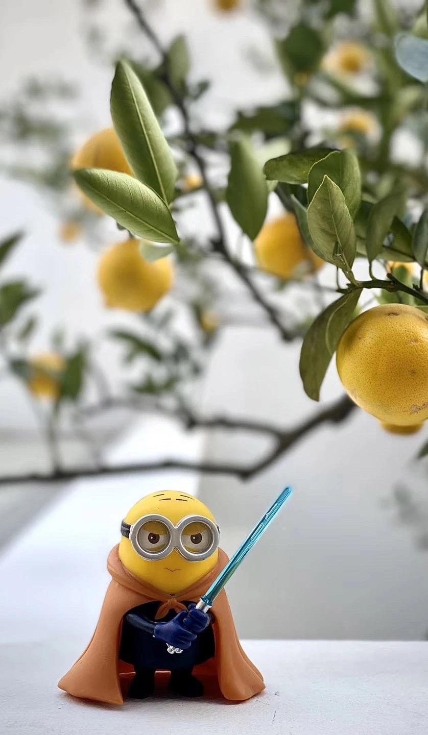 办公室-金麦道设计素材网www.ycpic (57).jpg