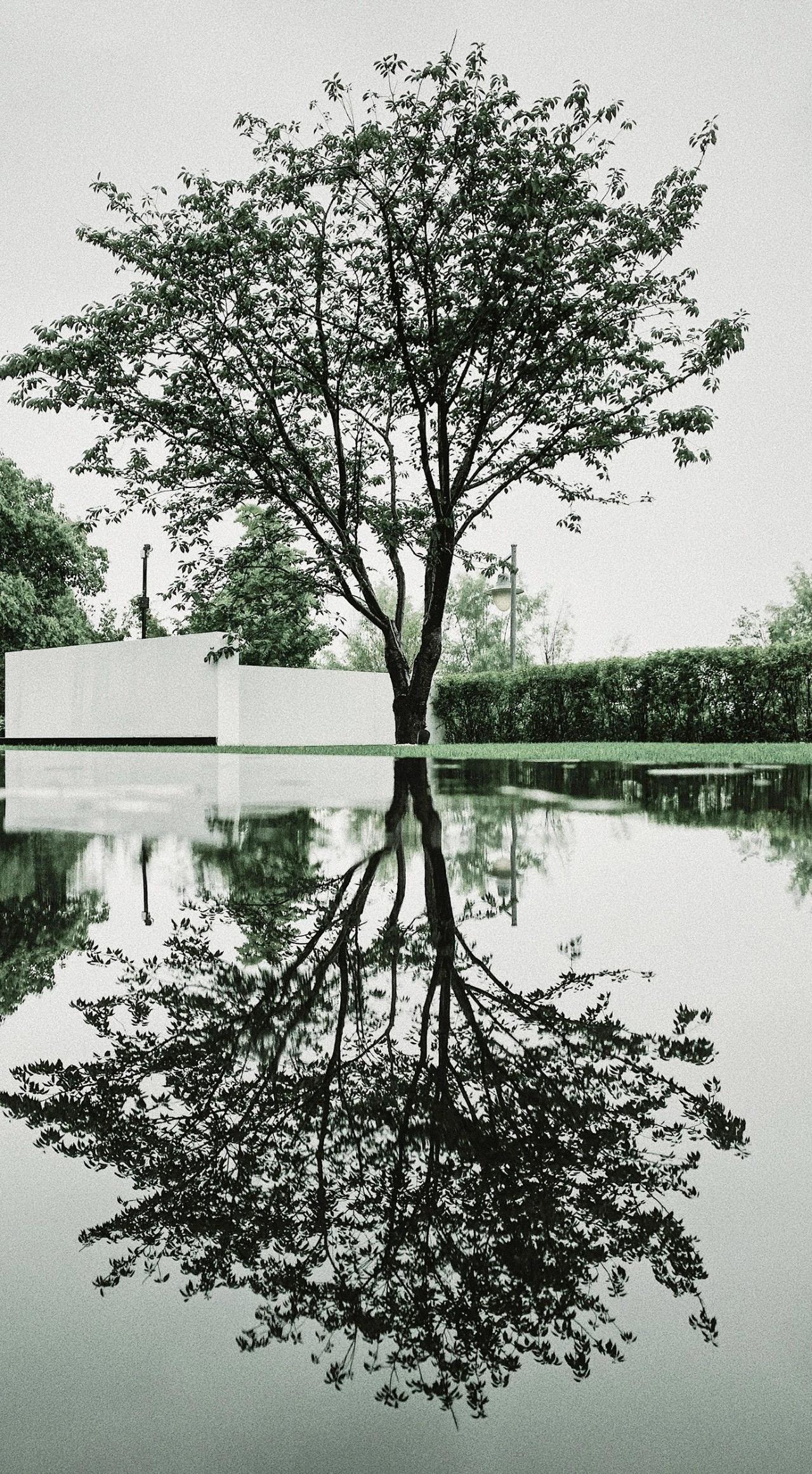 办公室-金麦道设计素材网www.ycpic (58).jpg