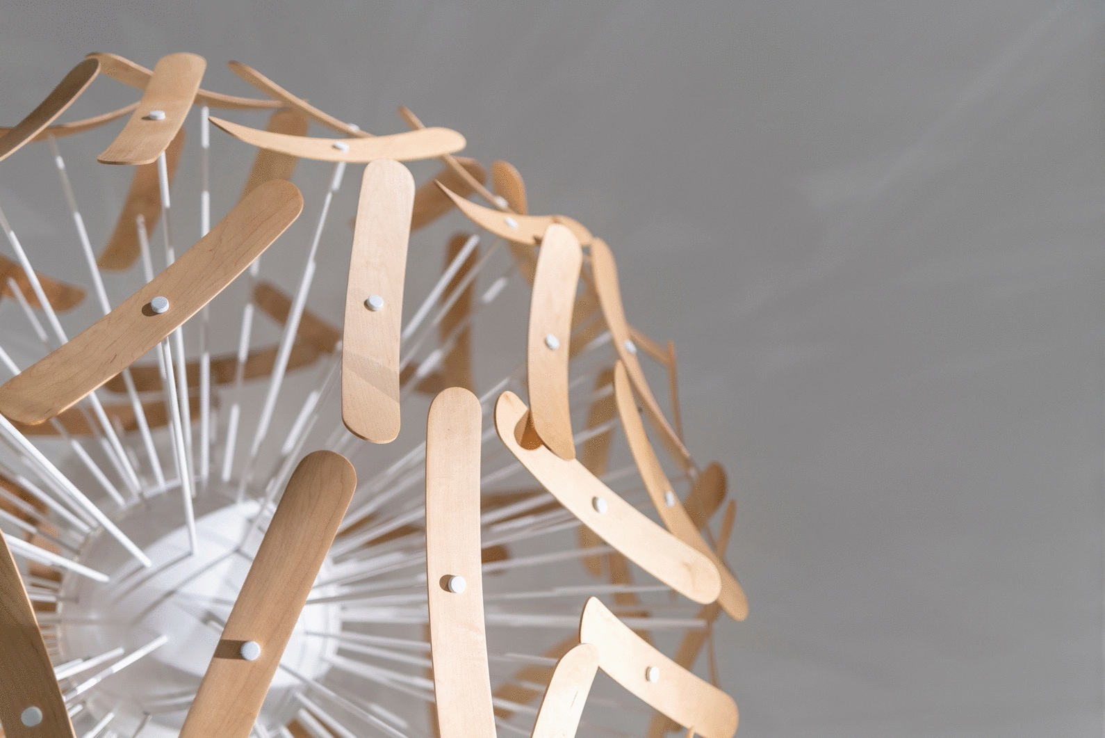 办公室-金麦道设计素材网www.ycpic (2).gif