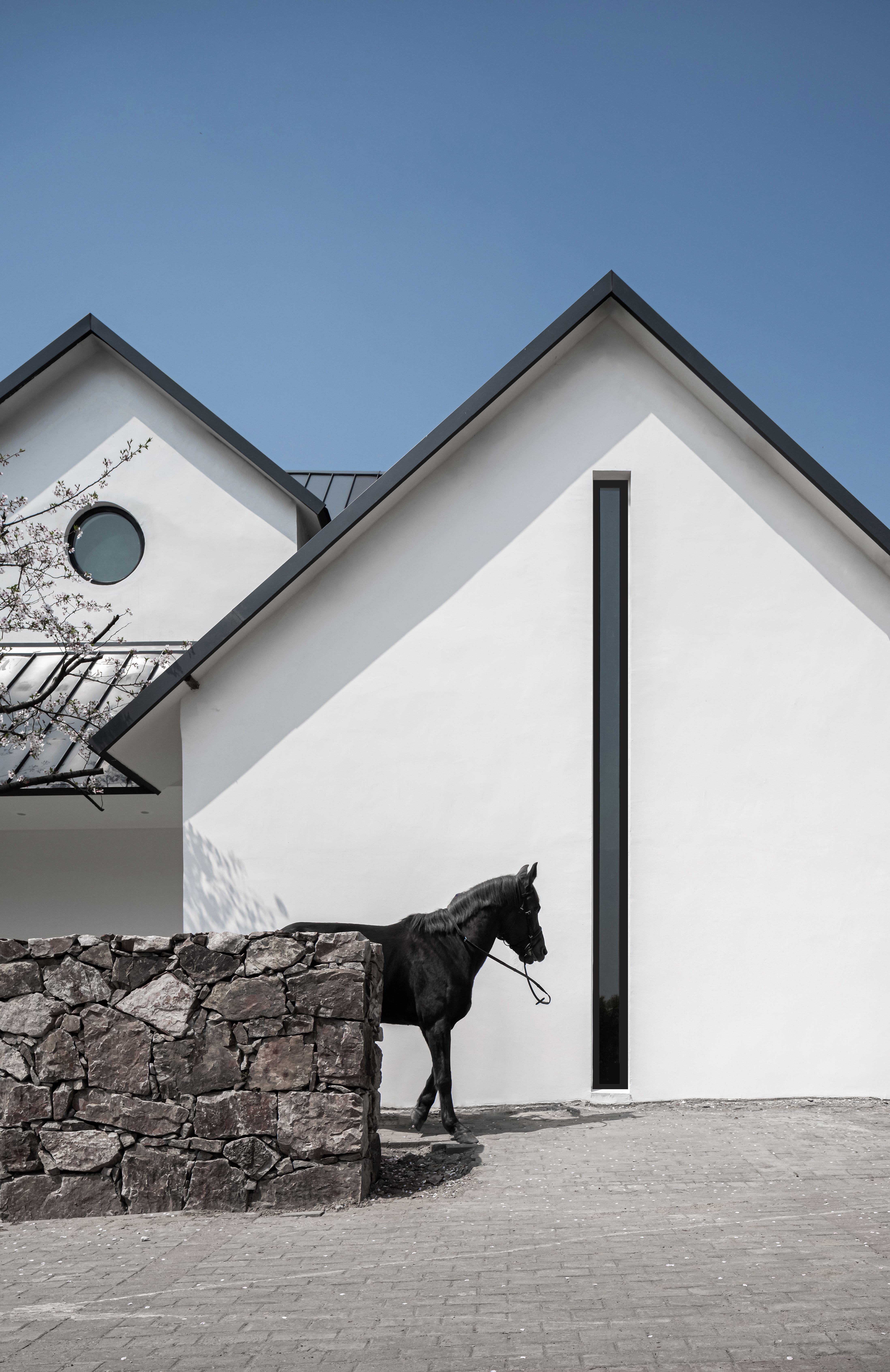 办公室-金麦道设计素材网www.ycpic (6).jpg