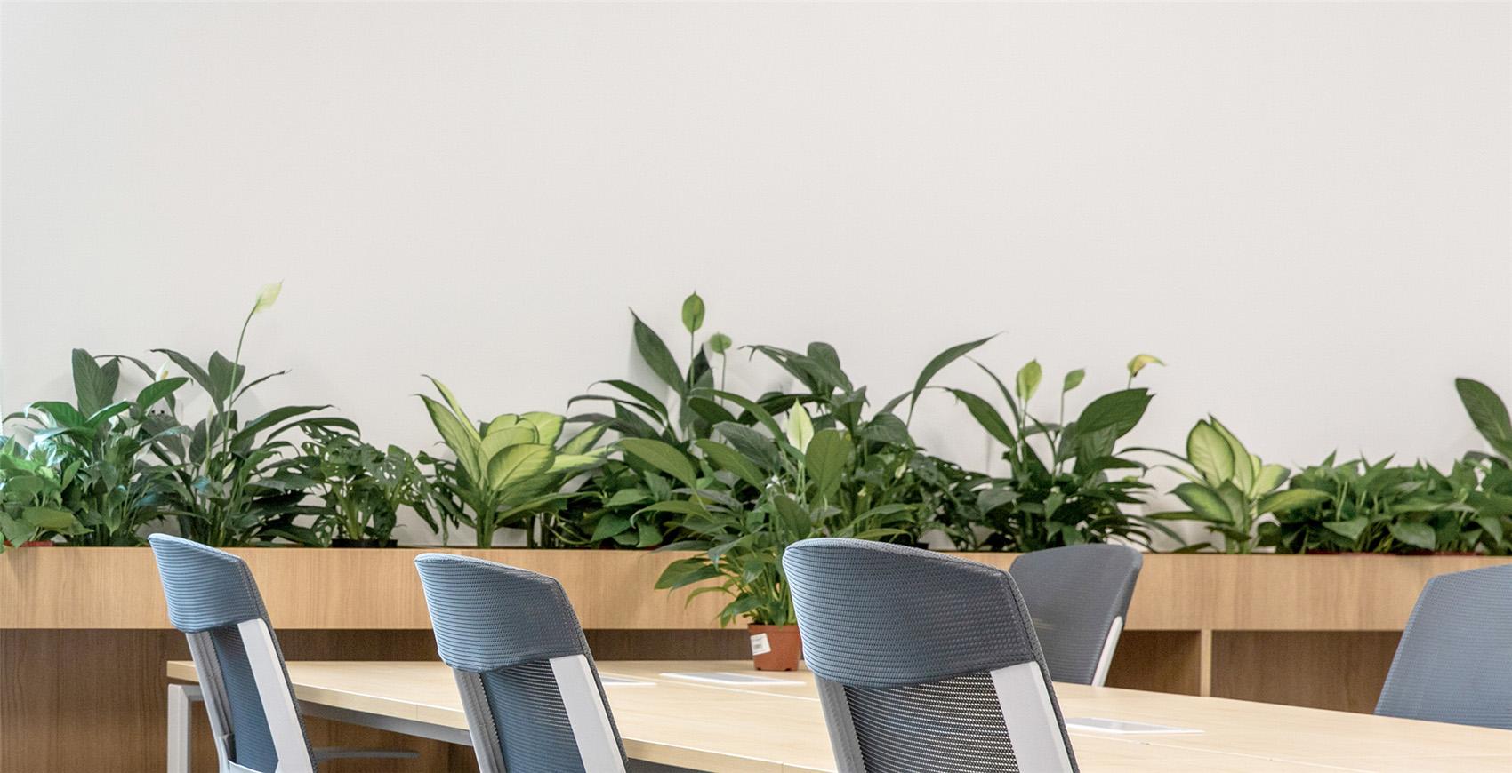 办公室-金麦道设计素材网www.ycpic (29).jpg