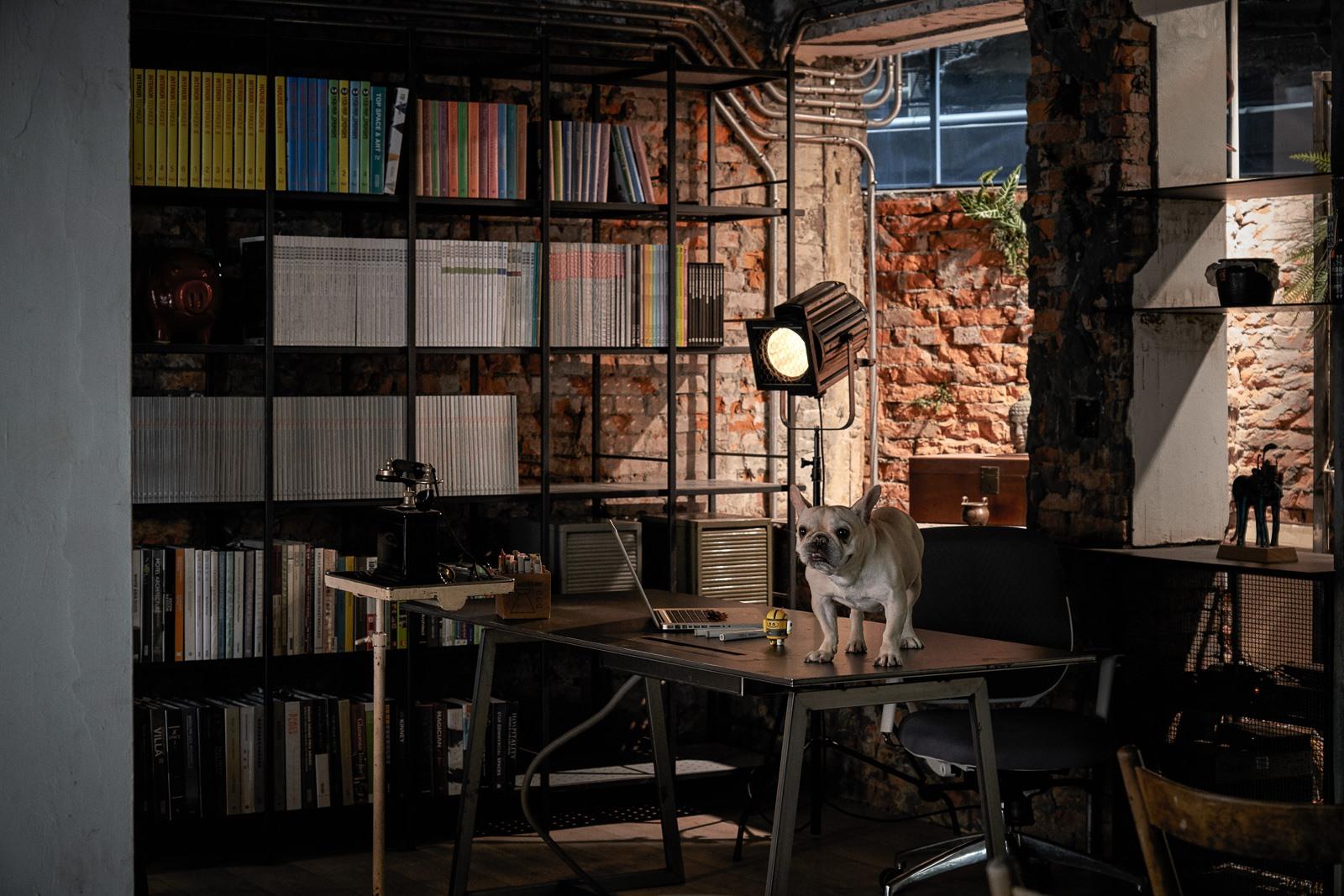 办公室-金麦道设计素材网www.ycpic (16).jpg