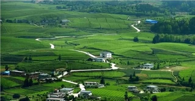 办公室-金麦道设计素材网www.ycpic (35).jpg