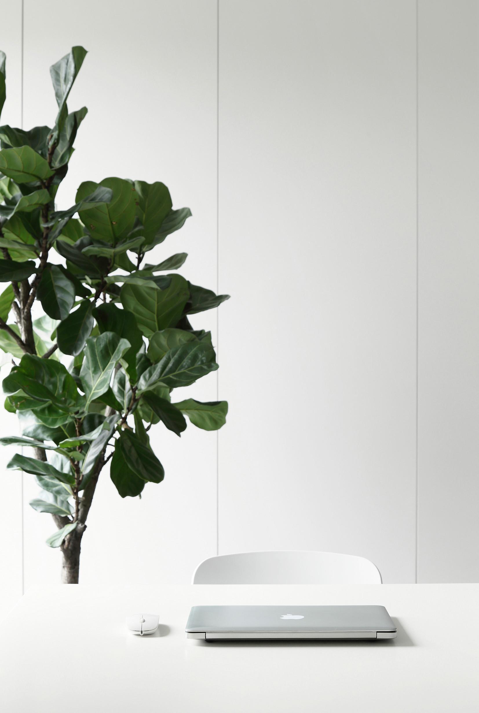 办公室-金麦道设计素材网www.ycpic  (24).jpg